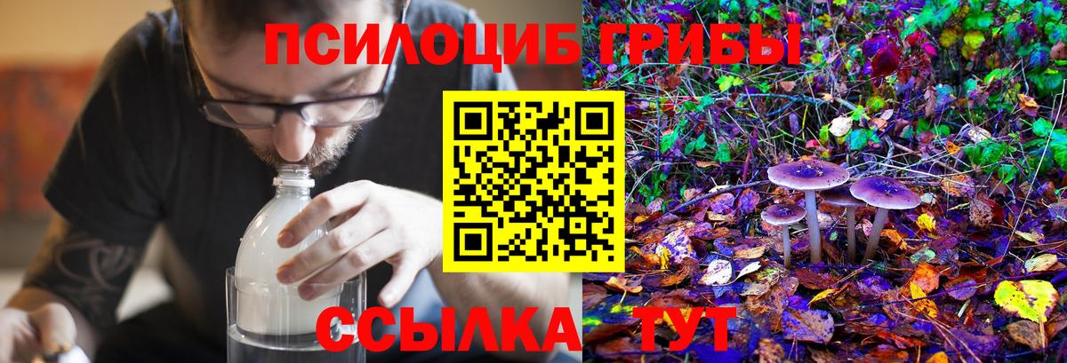 Благовещенск  Галлюциногенные грибы Psilocybe  Вход с VPN  Псилоцибиновые грибы Psilocybine cubensis 