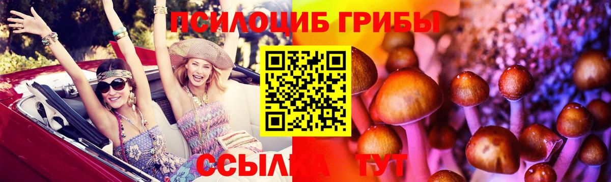 Галлюциногенные грибы мицелий Благовещенск